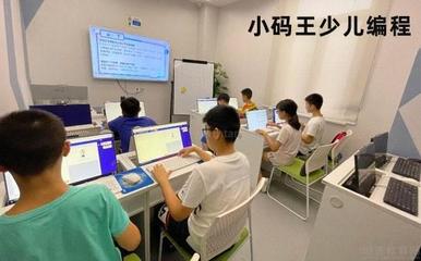 成都小碼王少兒編程 網絡投資管理與咨詢