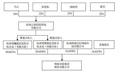 螞蟻集團 半年狂賺212億，毛利率達50%，科創板與港交所同步上市引領金融科技新浪潮
